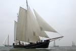 Clipper Aldebaran under white sails, viewed from the side