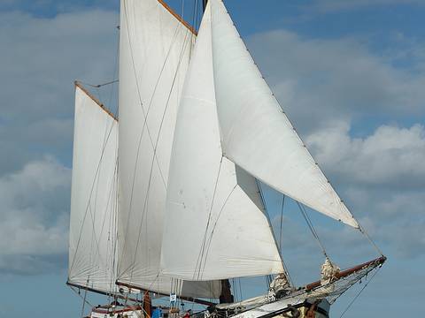 Anna Trijntje under white sails on open water