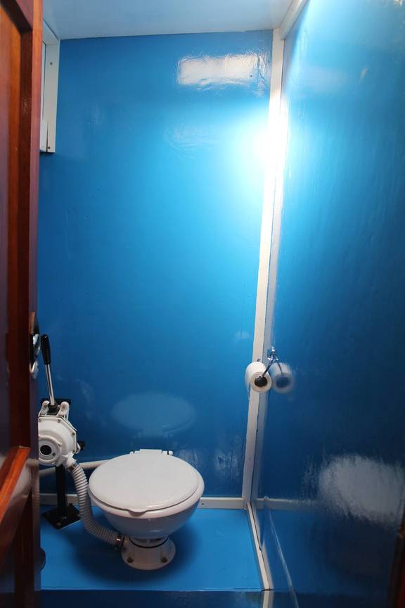 Toilet with blue walls on the Anna Trijntje
