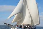 Avanti under white sails, viewed from the bow