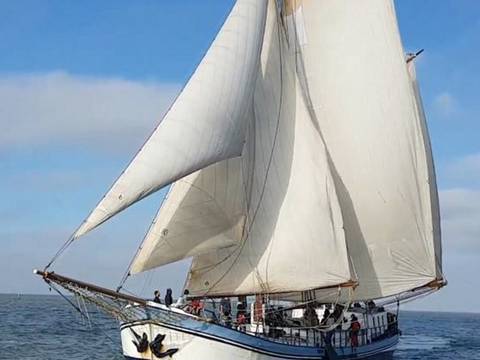 Avanti under white sails, viewed from the bow