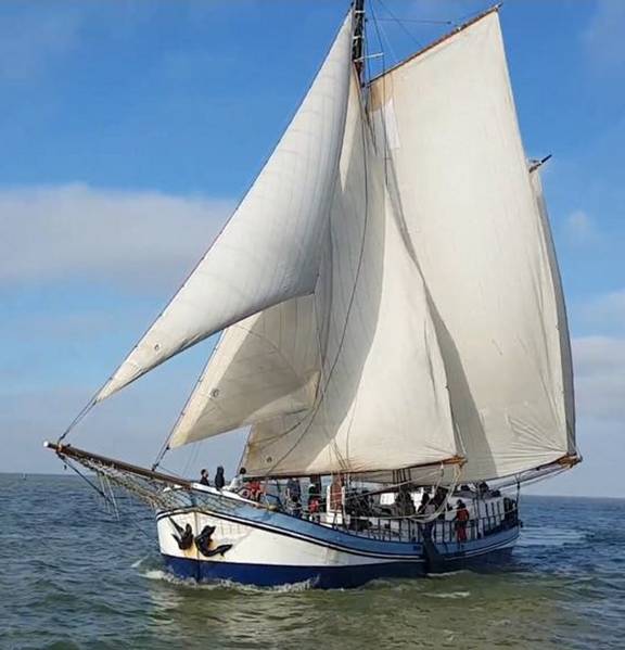 Avanti under white sails, viewed from the bow