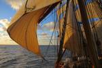 Sails and rigging of the Europa in warm evening light