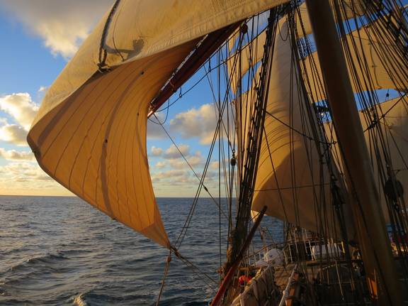 Sails and rigging of the Europa in warm evening light