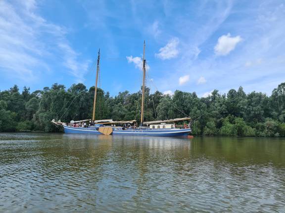 De Hester with sails lowered beside a green riverbank