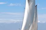 Eenhoorn under white sails, viewed from the front