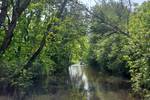 Tree-lined waterway in the Weerribben-Wieden