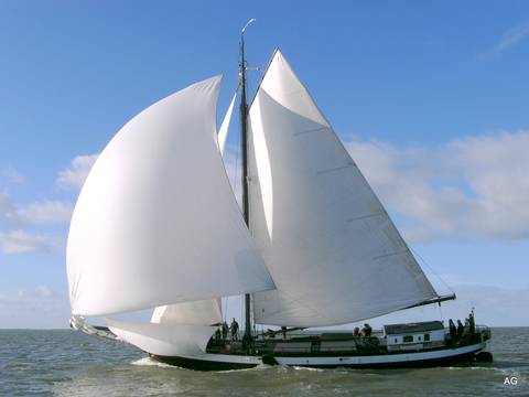 Clipper Hoge Wier under full white sails, viewed from the bow