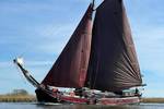 Medusa under brown sails, viewed from the bow