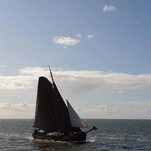 Medusa under brown sails in the sunshine on open water