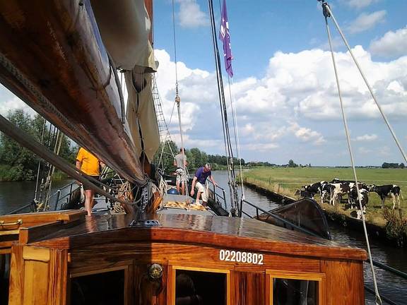 View over the deck of the Pelikaan beside a green shore