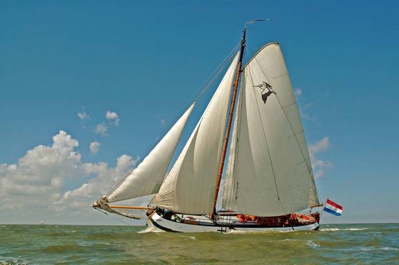 Tjalk Pelikaan under white sails, viewed from the side