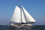 Rival with white sails on open water