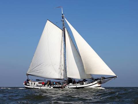 Rival with white sails on open water