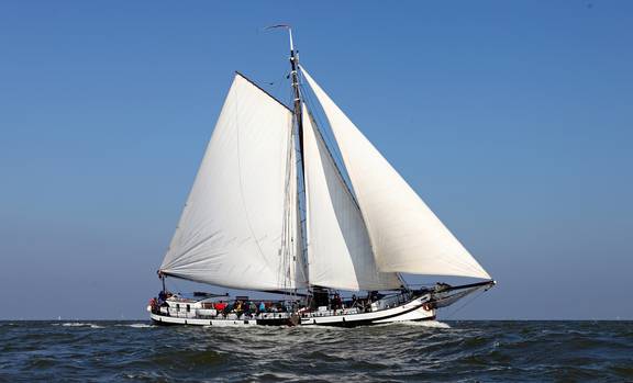 Rival with white sails on open water