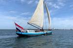 Spartivento with a white sail and Dutch flag on open water