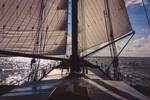 View over the bow beneath the sails of the Sybaris