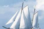 Clipper Sybaris under full white sails, viewed from the side