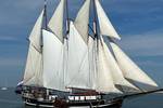 Three-masted Vrijheid under full sail