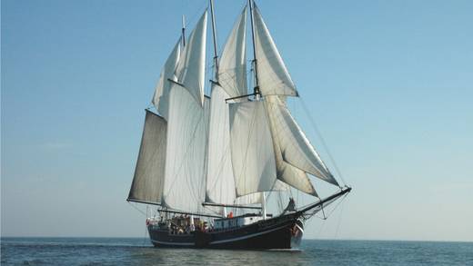Sailing ship Vrijheid under full sail on open water