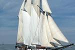 Vrijheid under sail with a view of the bow