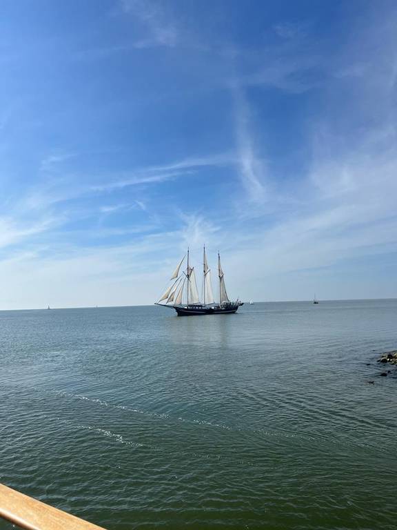 Three-masted Vrijheid sailing on calm water along the coast