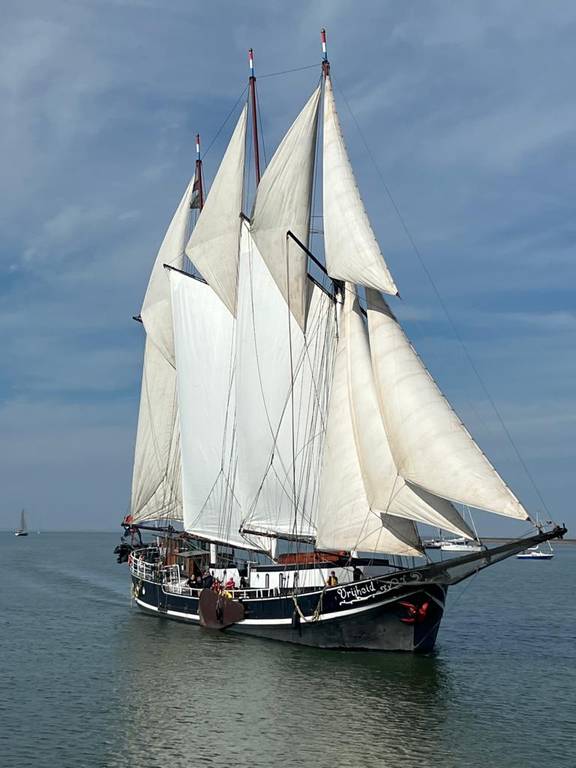 Vrijheid under sail with a view of the bow