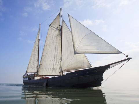 't Wapen fan Fryslân with white sails hoisted