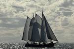 Clipper Waterman under sail on shimmering water beneath dark clouds