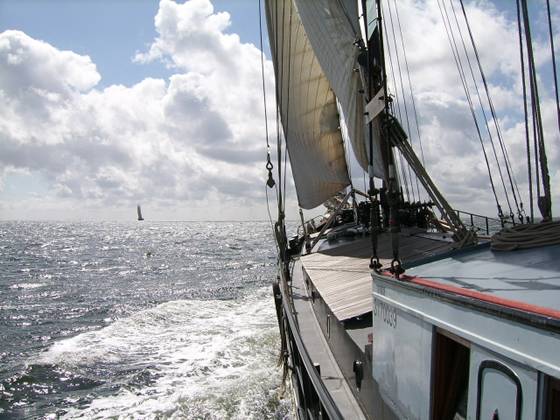 View across the water from the side deck of the Waterman