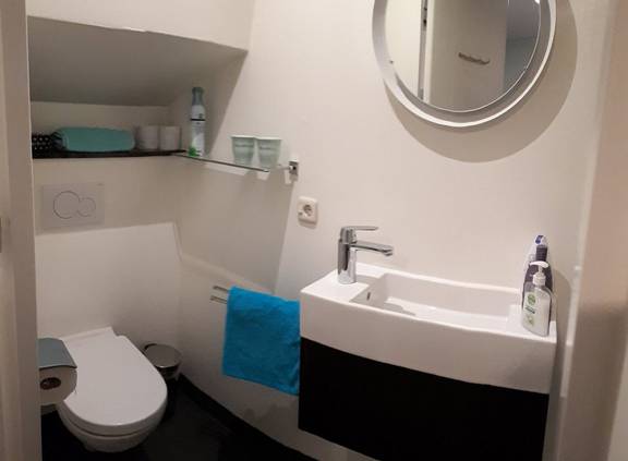 Bathroom of the Wilhelmina with a toilet and washbasin