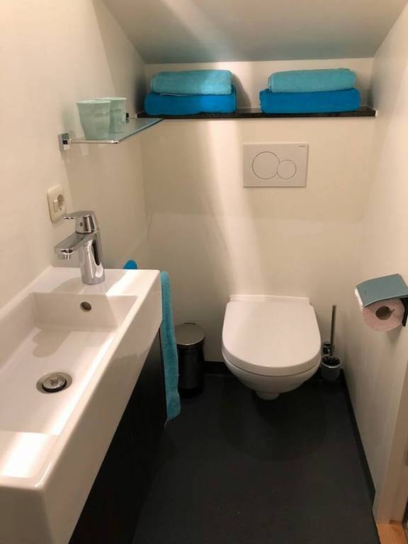 Bathroom of the Wilhelmina with a toilet and washbasin