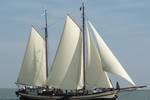 Clipper Gulden Belofte under white sails on the water