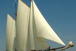 Clipper Gulden Belofte under white sails on the water