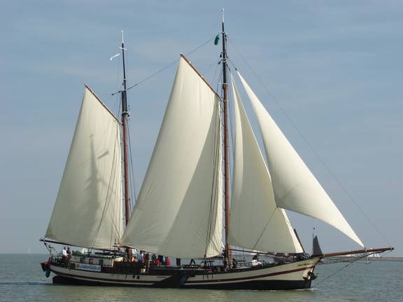 Clipper Gulden Belofte under white sails on the water