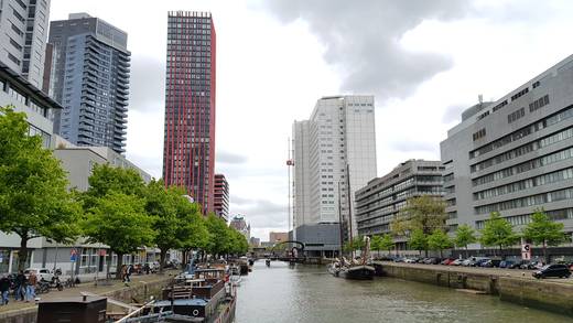 Canal lined with modern buildings and trees in Rotterdam