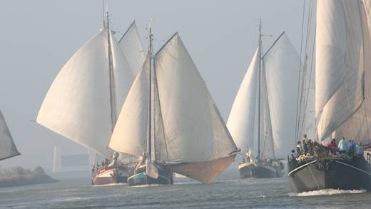 BootBootBoot-zeilwedstrijd
