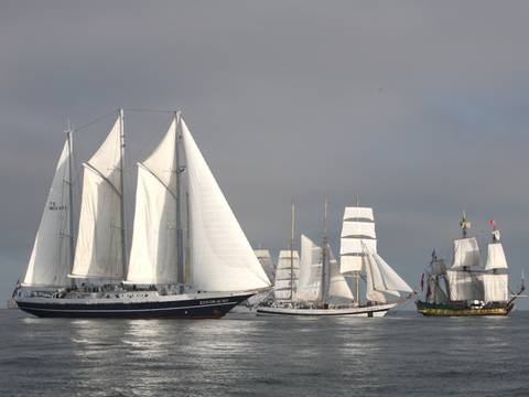 Three-masted schooner Eendracht sailing among other tall ships
