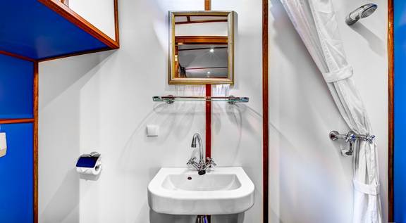 Bathroom with a shower, washbasin and mirror on the Mare fan Fryslân